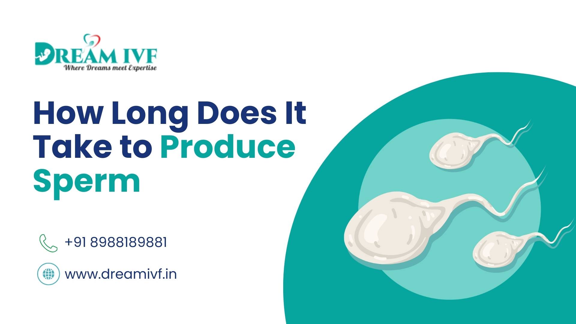 How Long Does It Take to Produce Sperm?