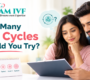 HOW MANY IVF cycles should you try 90x80