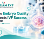 How Embryo Quality Affects IVF Success Rate 90x80